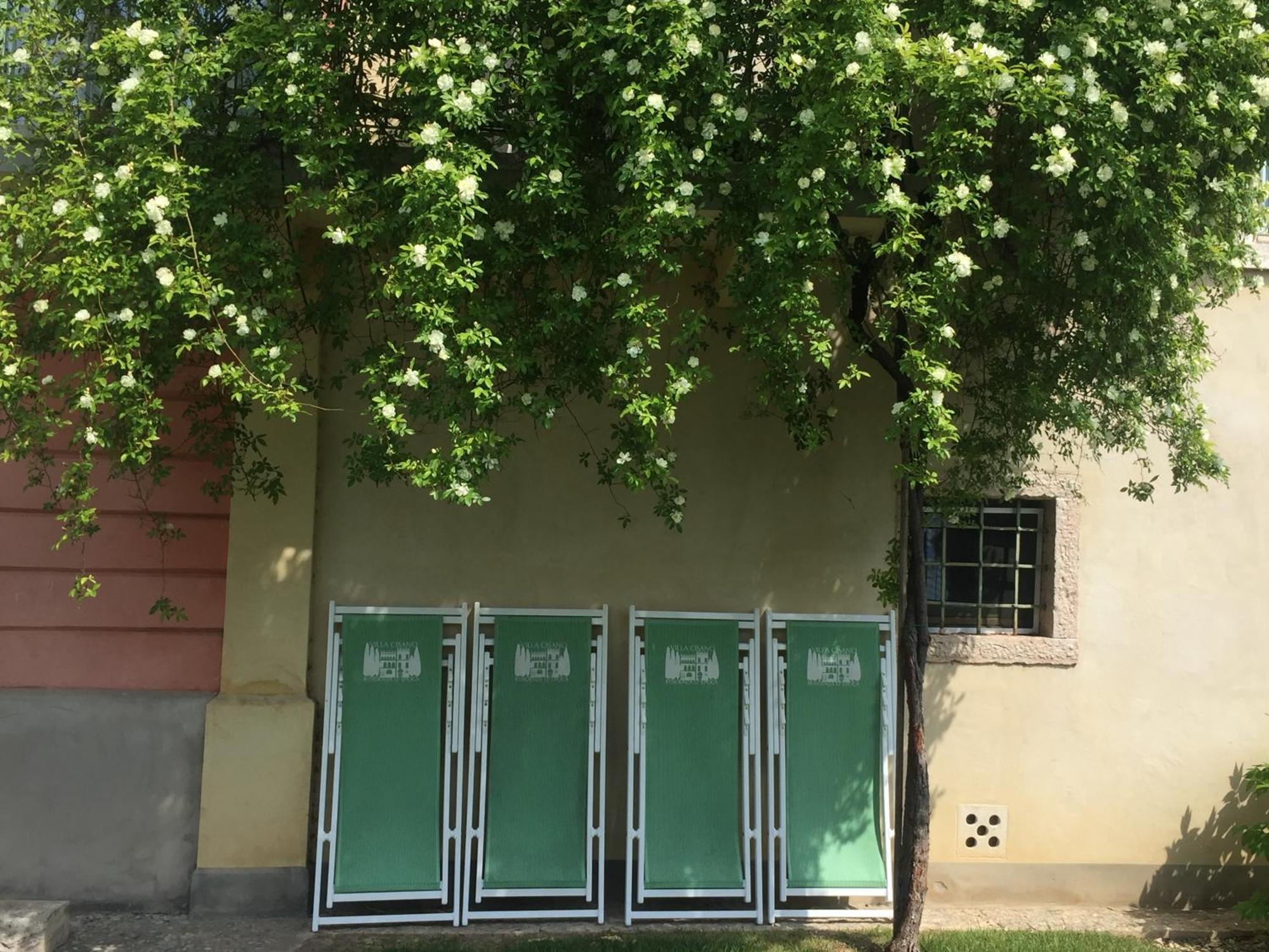 Villa Cisano Residenza D'Epoca Bardolino Exterior foto